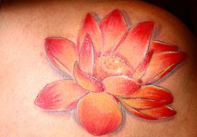 flor de lotus tatuagem